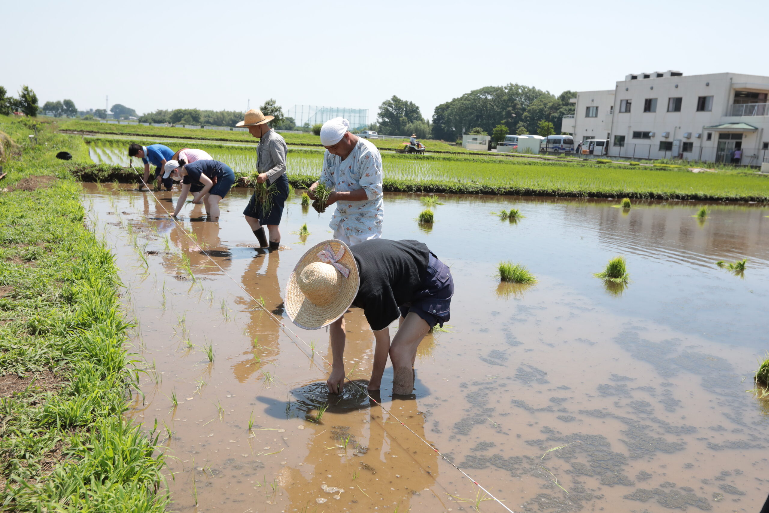 社会福祉法人皆の郷 　川越いもの子作業所